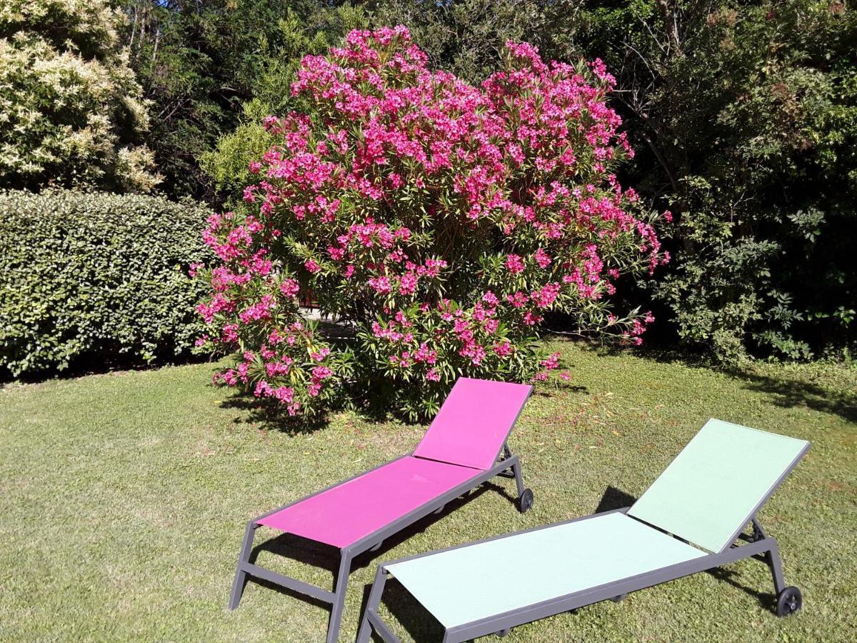 Le Mas Du Chat Bed and Breakfast Cavaillon Exteriör bild