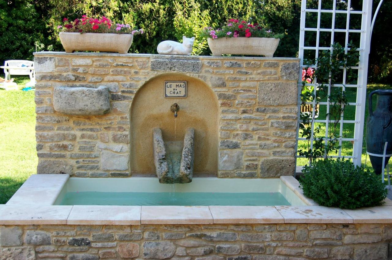 Le Mas Du Chat Bed and Breakfast Cavaillon Exteriör bild